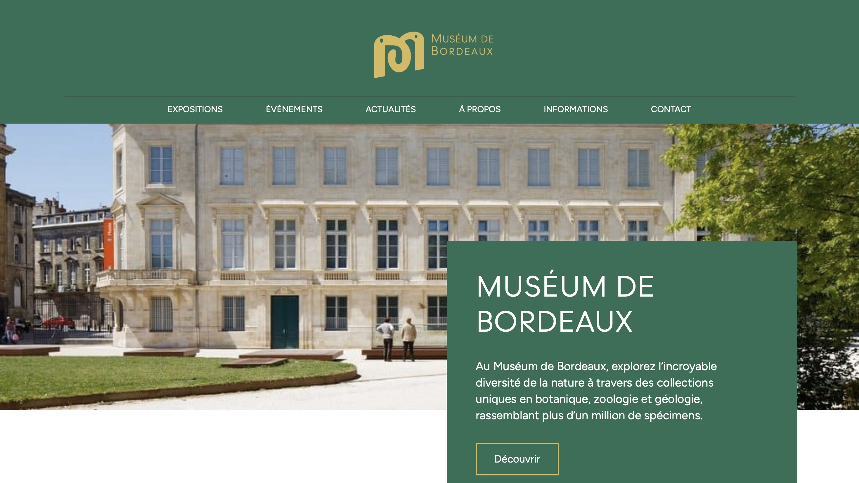 Vitrine du projet Muséum de Bordeaux