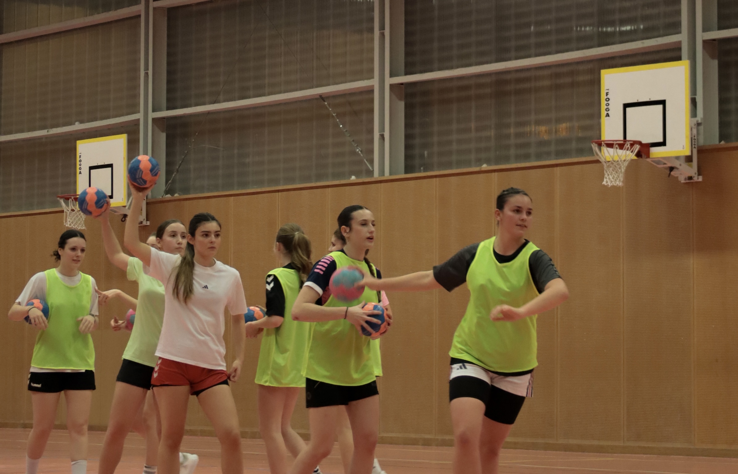 Lions Auch Handball
